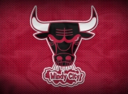 PG电子娱乐官网-横扫法兰西，樊振东擎起国乒大旗—一场唯一性的巅峰对话