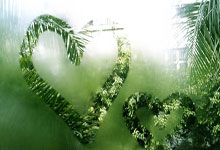 PG电子官网-欧冠淘汰赛焦点战，奇才鏖战独行侠